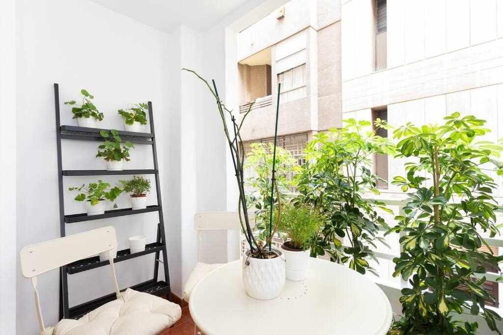 Sabino Dreams Santa Cruz Apartament Zewnętrze zdjęcie